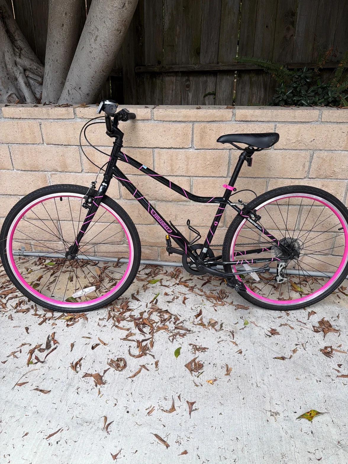 Guardian bike
